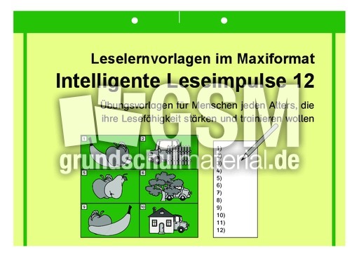 Intelligente Leseimpulse 12.pdf
